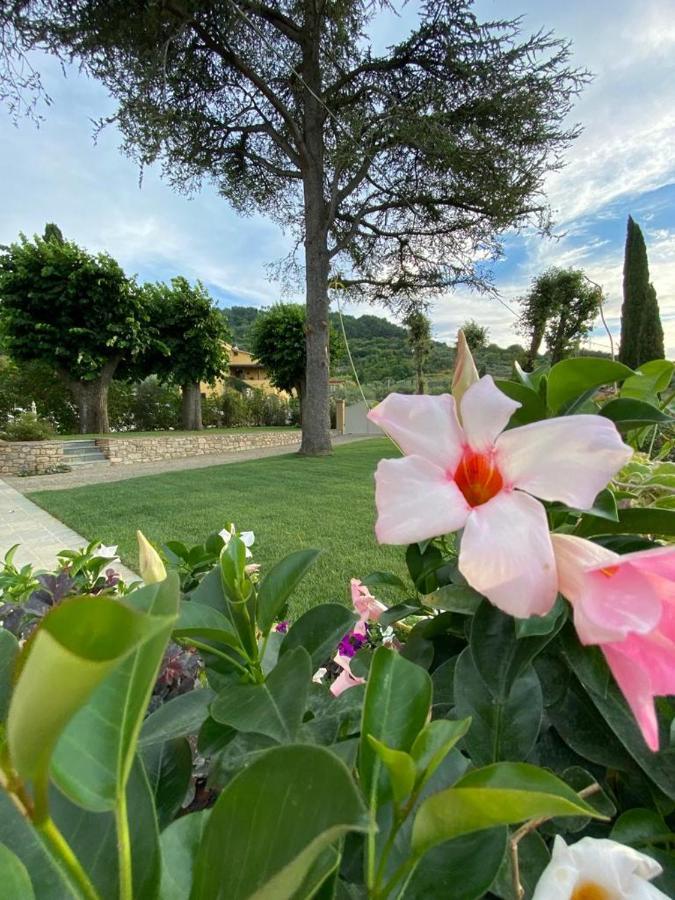 Bed and Breakfast Relais Maria Cristina Chianni Exteriér fotografie
